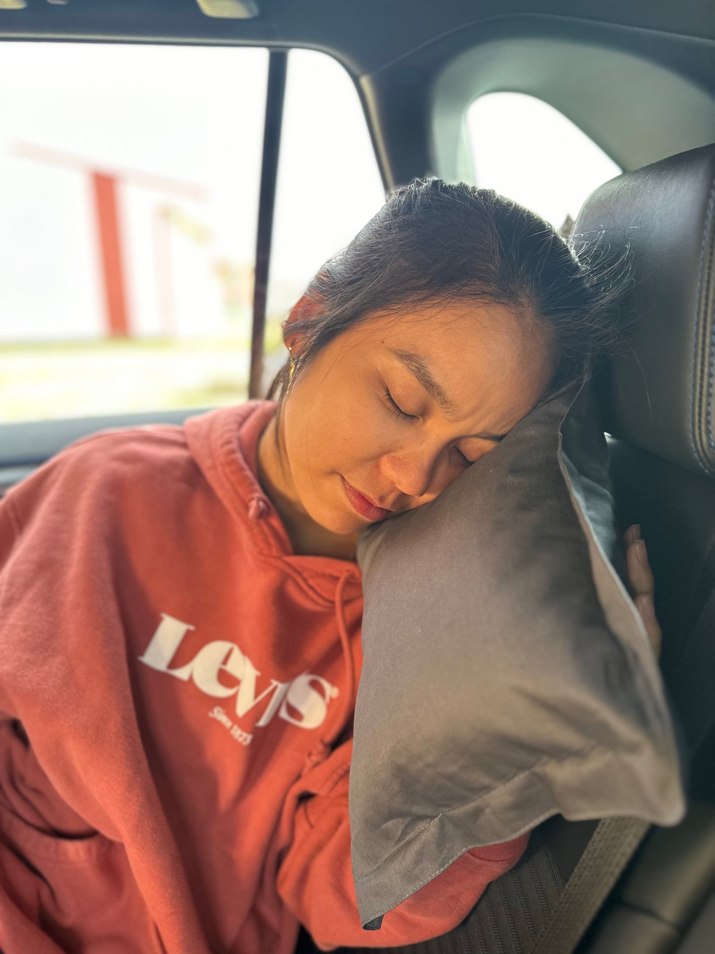 Travel Buckwheat Pillow