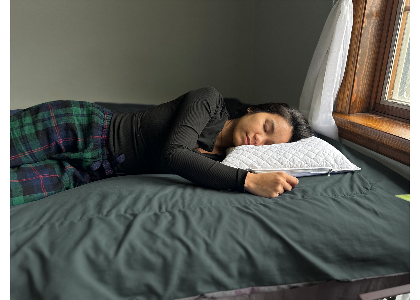Large Buckwheat Hull Pillow